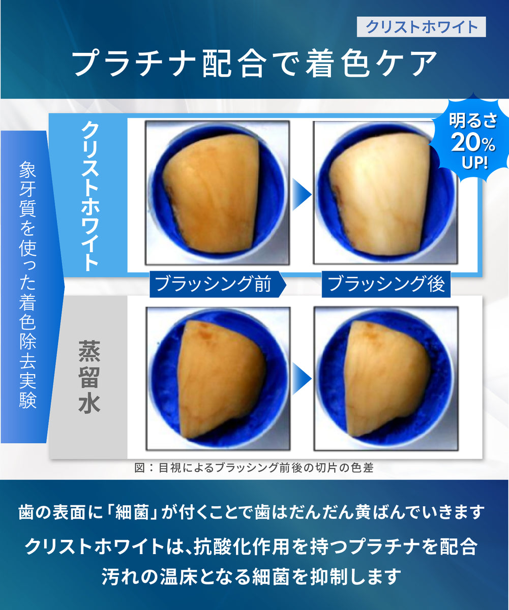 お悩みに合わせた歯科専売品のご提案＋個人冊子付き 歯ブラシ